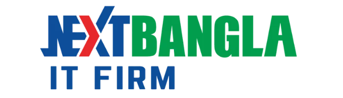 NB IT Firm logo - premium custom software development